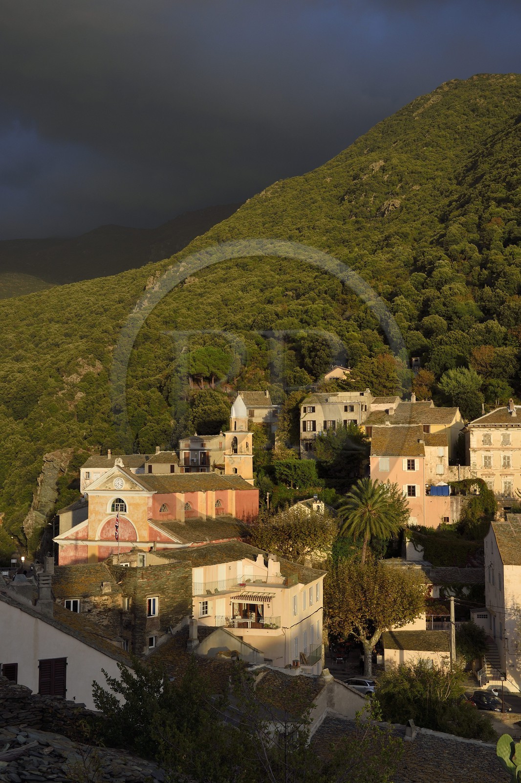 France, Haute-Corse (2B), Cap Corse, Nonza, l'église Sainte-Julie datant du XIVe siècle