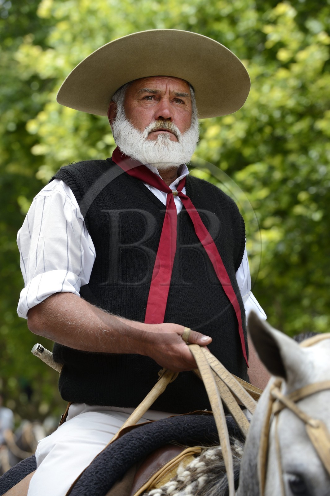 Argentine, province de Buenos Aires, San Antonio de Areco, fête du Jour de la Tradition (Dia de la Tradicion), gaucho à cheval défilant en habit traditionnel