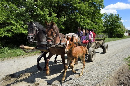 Romania, Transylvania, Sighisoara region, horse carriage in the village of Movile