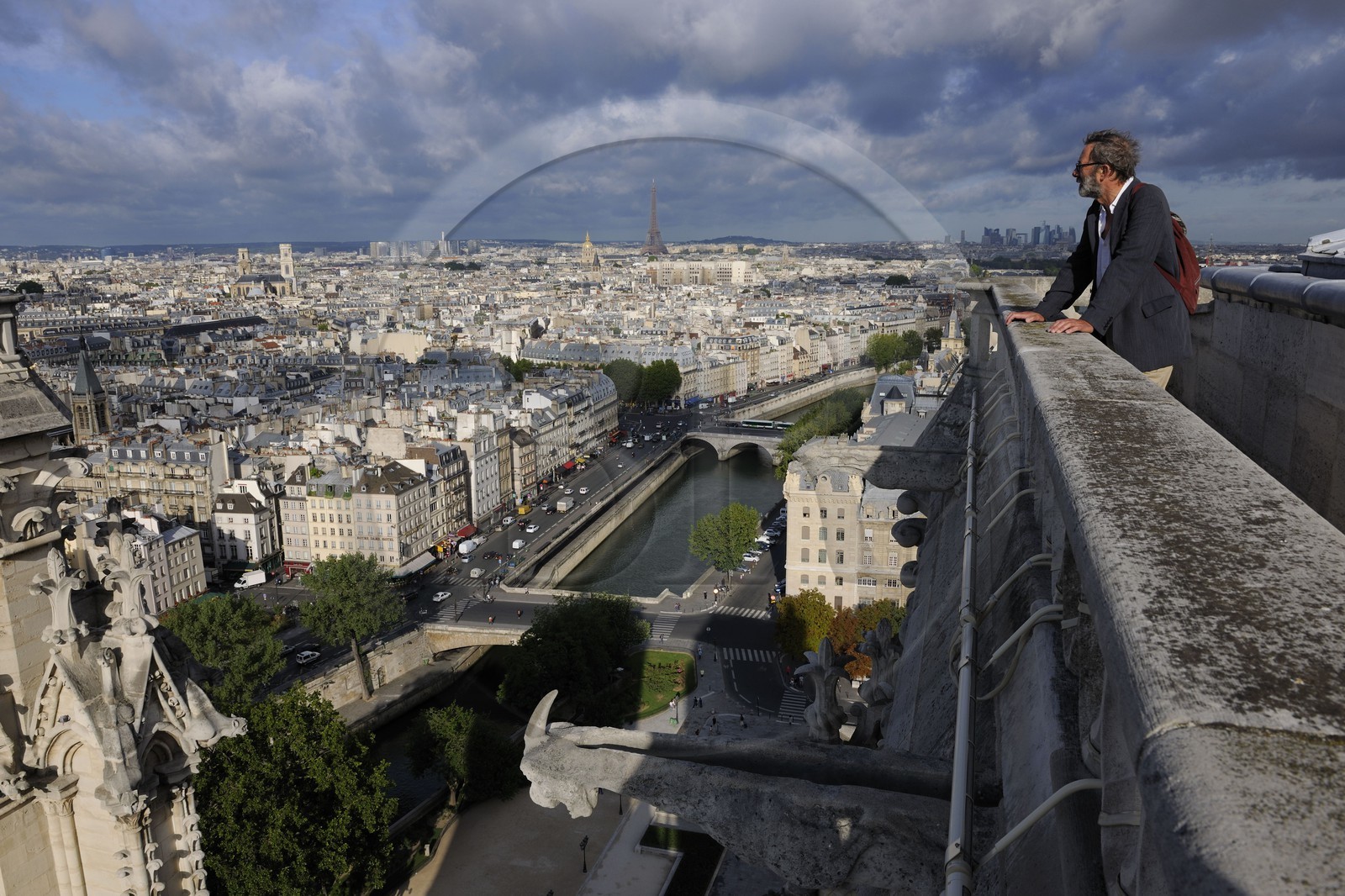 France, Paris (75), les rives de la Seine classées Patrimoine Mondial de l'UNESCO, île de la Cité, la cathédrale Notre-Dame depuis la tour nord