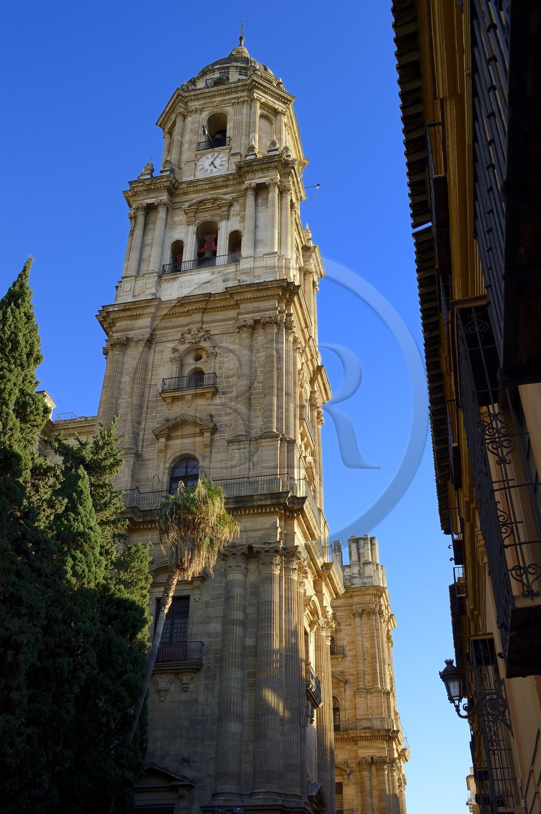 Espagne, Andalousie, Malaga, la cathédrale, Catedral Basílica de la Encarnacion