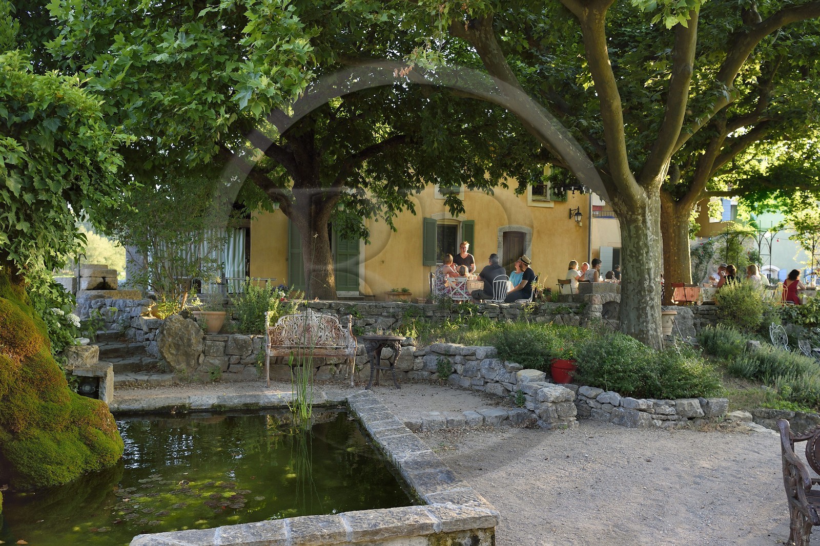 France, Var, Provence Verte (Green Provence), Bras village next to Saint Maximin, Le Peyrourier - une campagne en Provence Bed and Breakfast