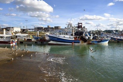 France, Seine-Maritime (76), Le Havre, quartier Saint-François dit quartier Breton, port de pêche