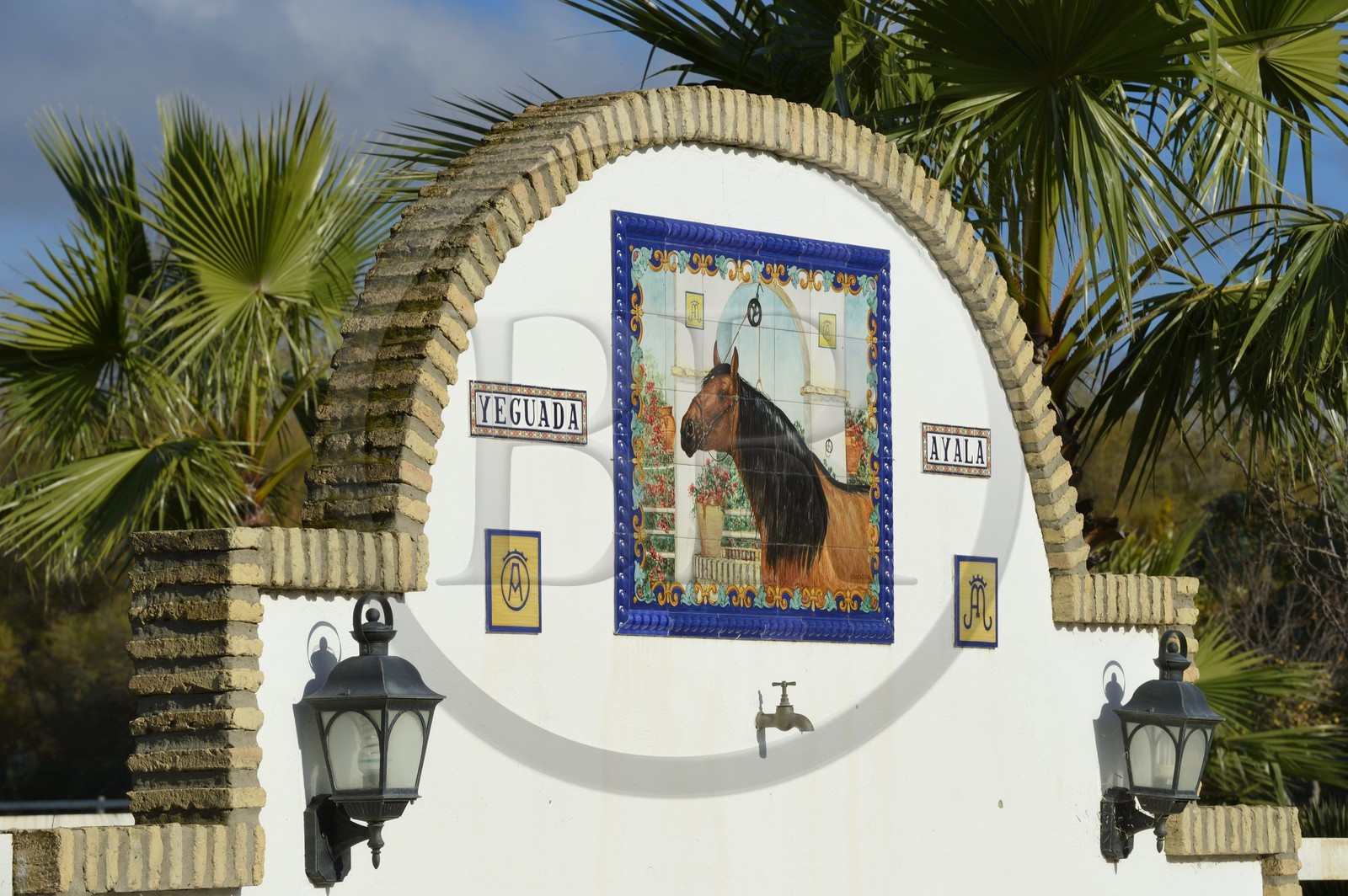 Spain, Andalusia, Seville Province, Utrera, the Ayala stud farm (Yeguada Ayala)