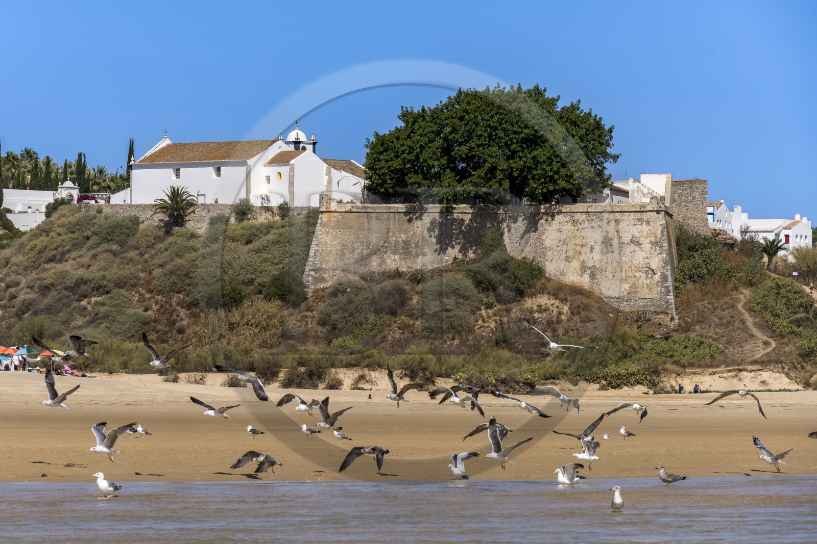 Portugal, Algarve, Parc Naturel de la Ria Formosa, Tavira, forteresse du village de Cacela Velha