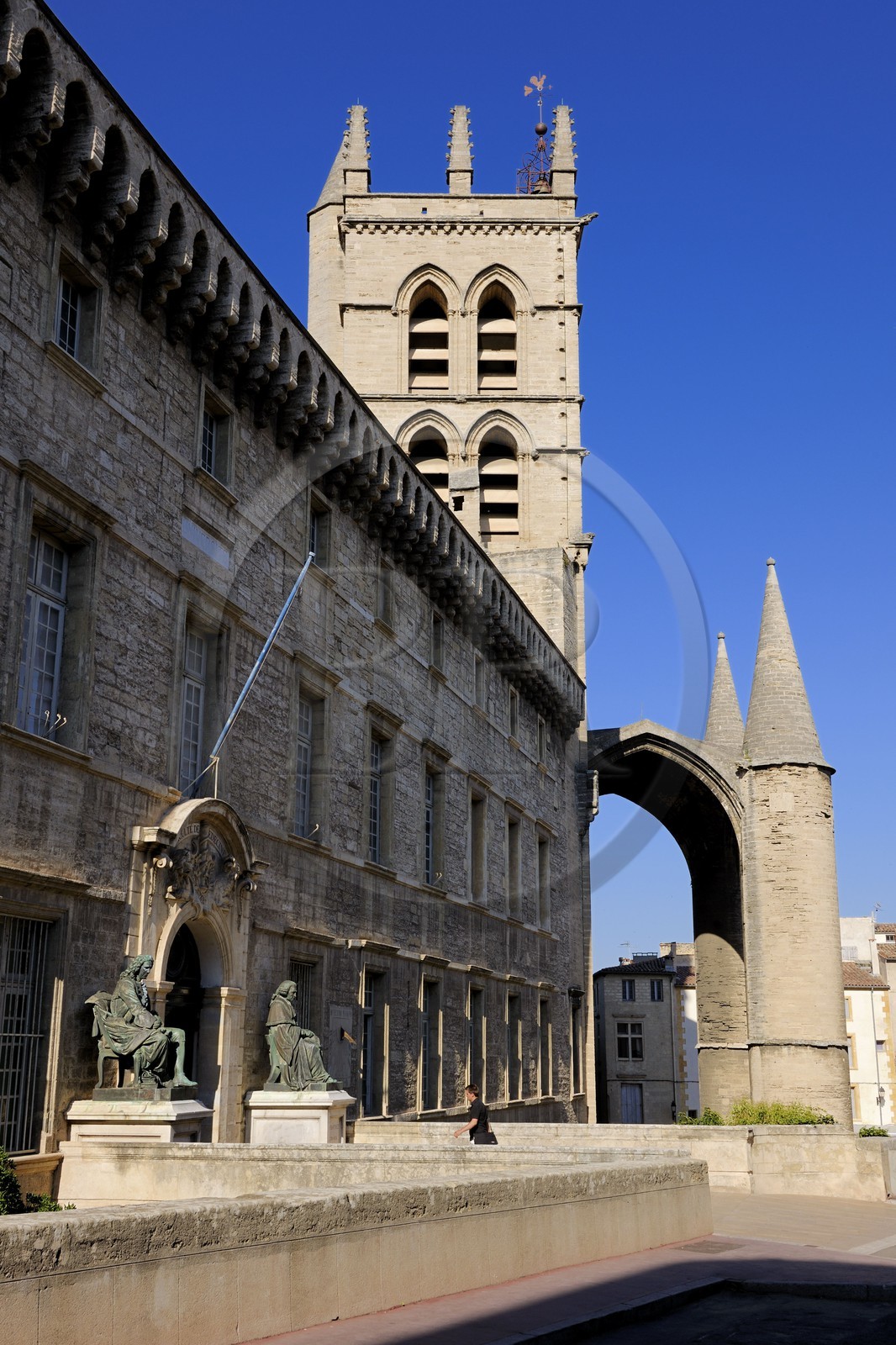France, Hérault (34), Montpellier, centre historique, faculté de médecine et la cathédrale Saint Pierre
