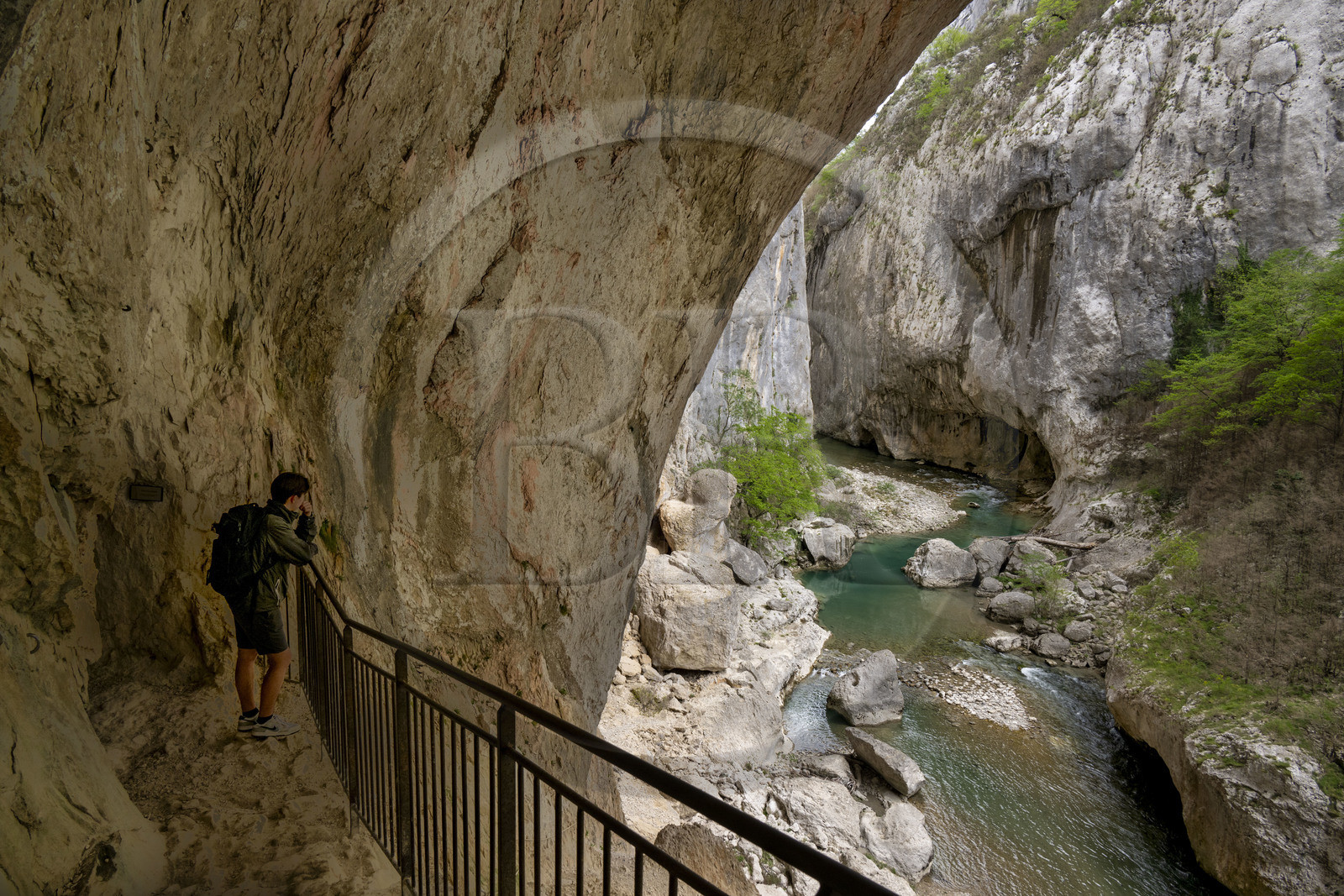 France, Alpes-de-Haute-Provence (04), Parc Naturel Régional du Verdon, Rougon, Grand Canyon du Verdon, la rivière du Verdon dans le couloir Samson, vu depuis le sentier Blanc-Martel sur le GR4