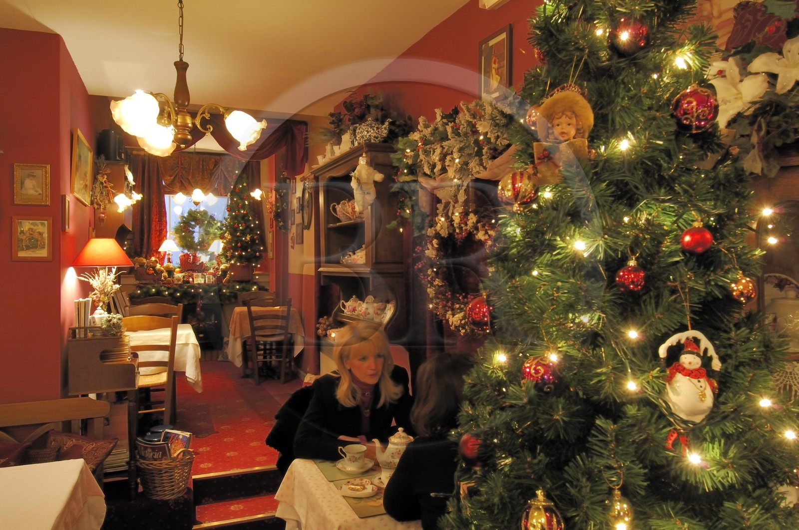 France, Bas Rhin (67) Strasbourg a Noel, decoration de Noel du restaurant et magasin de thé Au fond du Jardin