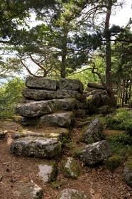France, Bas-Rhin (67), le Mont Saint-Odile, le mur païen