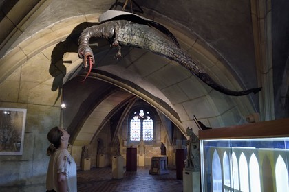 France, Moselle (57), Metz, la cathédrale Saint-Etienne, l'effigie du Graoully conservée dans la crypte
