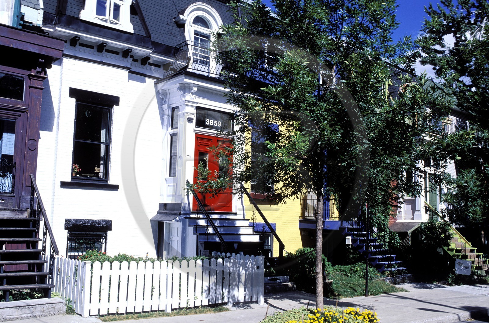 Canada, Quebec, Montreal, Plateau Mont-Royal district