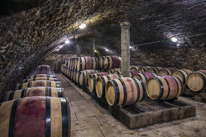 France, Cote d'Or, Climats terroirs of Burgundy listed as World Heritage by UNESCO, Beaune, Maison Champy, the oldest wine trading house in Burgundy, founded in 1720, aging of its wines in barrels in its cellars