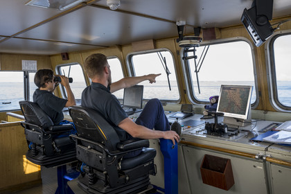 France, Finistère (29), Mer d'Iroise, Le Conquet, navire de la Penn ar Bed assurant la liaison avec les iles de Molène et Ouessant, le pilote sur la passerelle