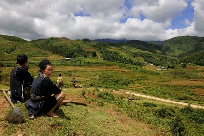 Vietnam, Lao Cai province, Sapa district, Ta Phin valley,  the Black Hmong minority group