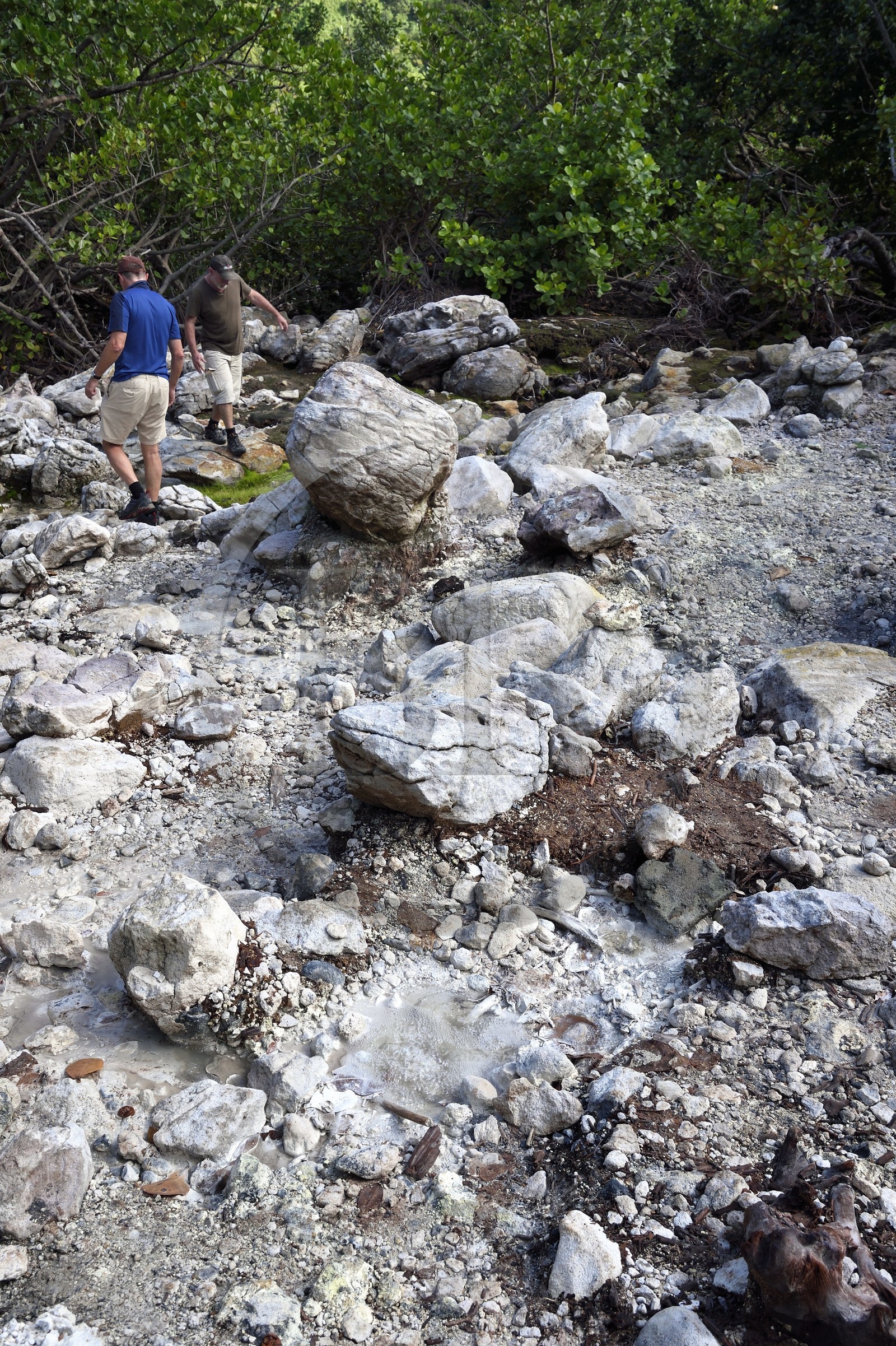 Caraïbes, Ile de la Dominique, rivière du site de la soufrière froide (Cold Soufrière) près du village de Pennville dans le nord de l'île sur le segment 13 du Waitukubuli National Trail