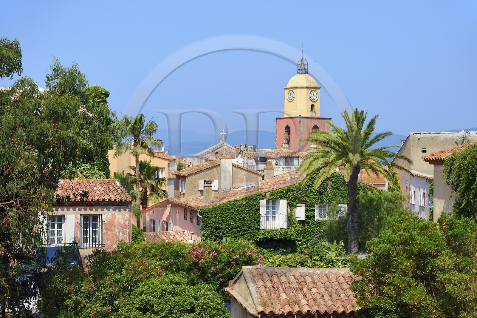 France, Var (83), Saint-Tropez,  église paroissiale Notre-Dame de l'Assomption depuis la citadelle