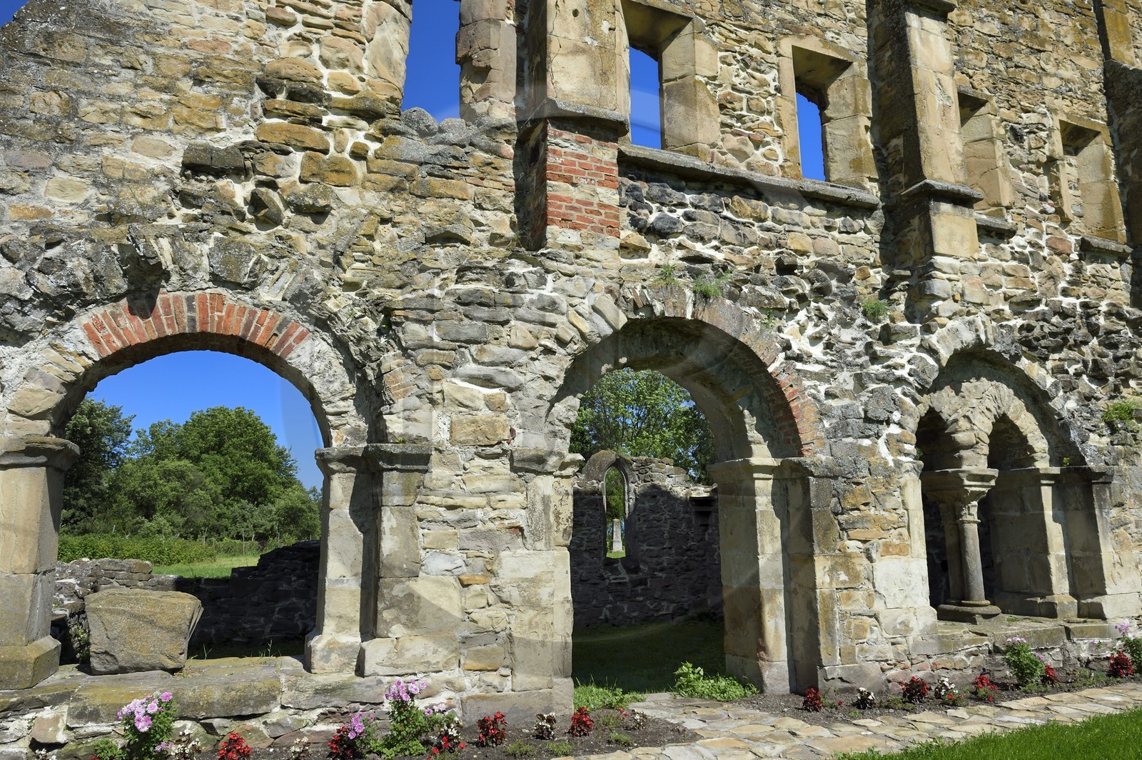 Roumanie, Transylvanie, région de Sibiu et Fagaras, Carta, ruines de l'ancien monastère cistercien de Carta (1205 à 1474), le dortoir et réfectoire