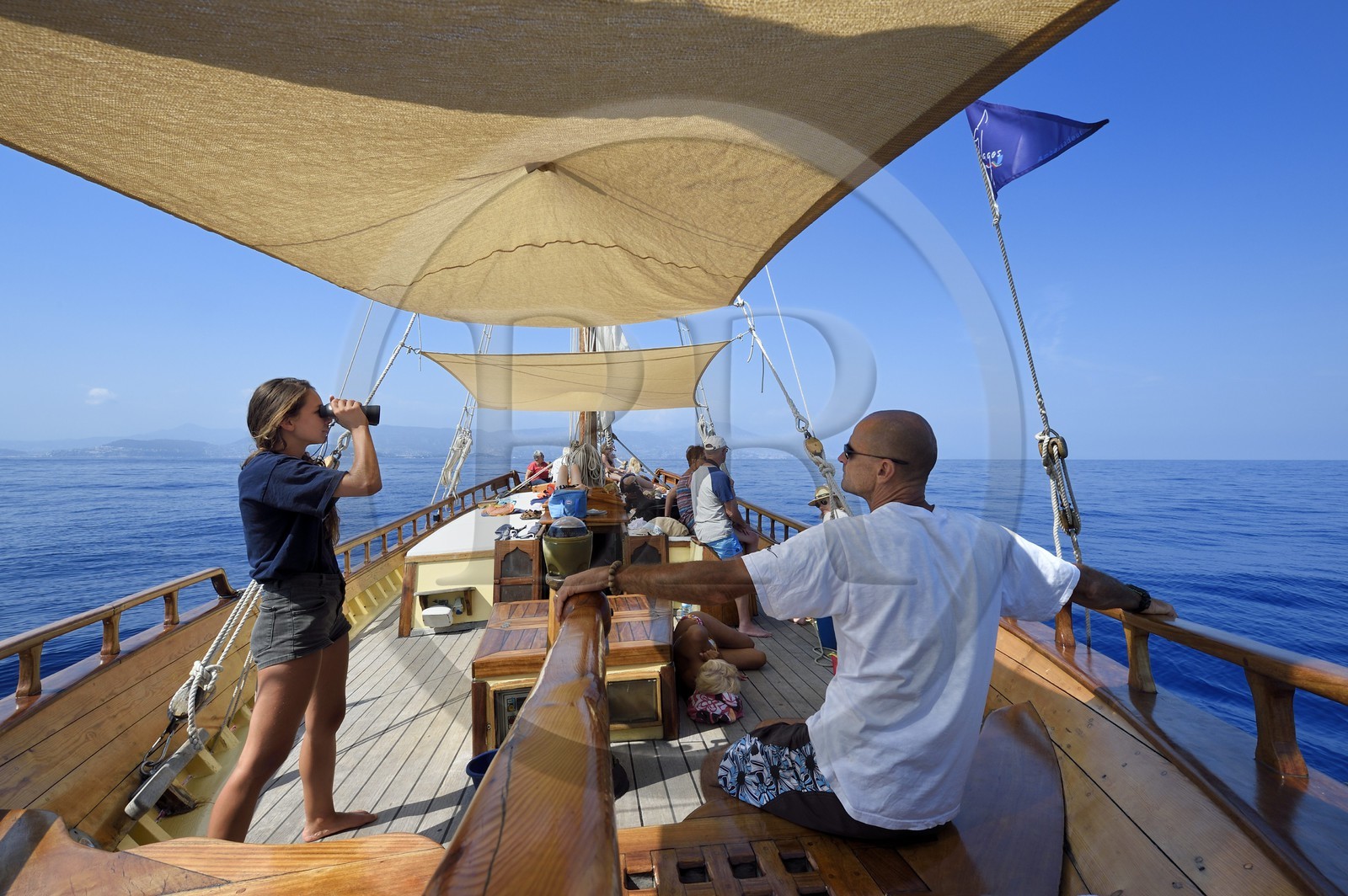 France, Alpes-Maritimes (06), Saint-Jean-Cap-Ferrat, sortie en mer sur le bateau Santo Sospir avec l'association SOS Grand Bleu pour l'observation des dauphins et des baleines dans le Sanctuaire Pelagos