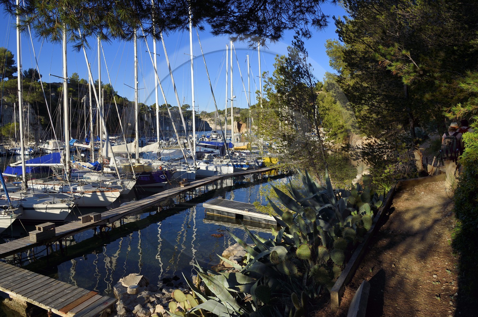 France, Bouches-du-Rhône (13), Cassis, Parc national des Calanques, Calanque de Port-Miou, la marina (demande d'autorisation nécessaire avant publication)