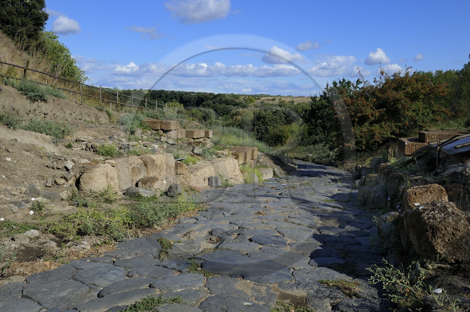 Italie, Latium, province de Viterbe, Montalto di Castro, antique cité étrusque de Vulci, vestige des rues pavées