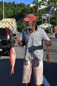Caribbean, Dominica Island, the capital city Roseau, roadside fish seller