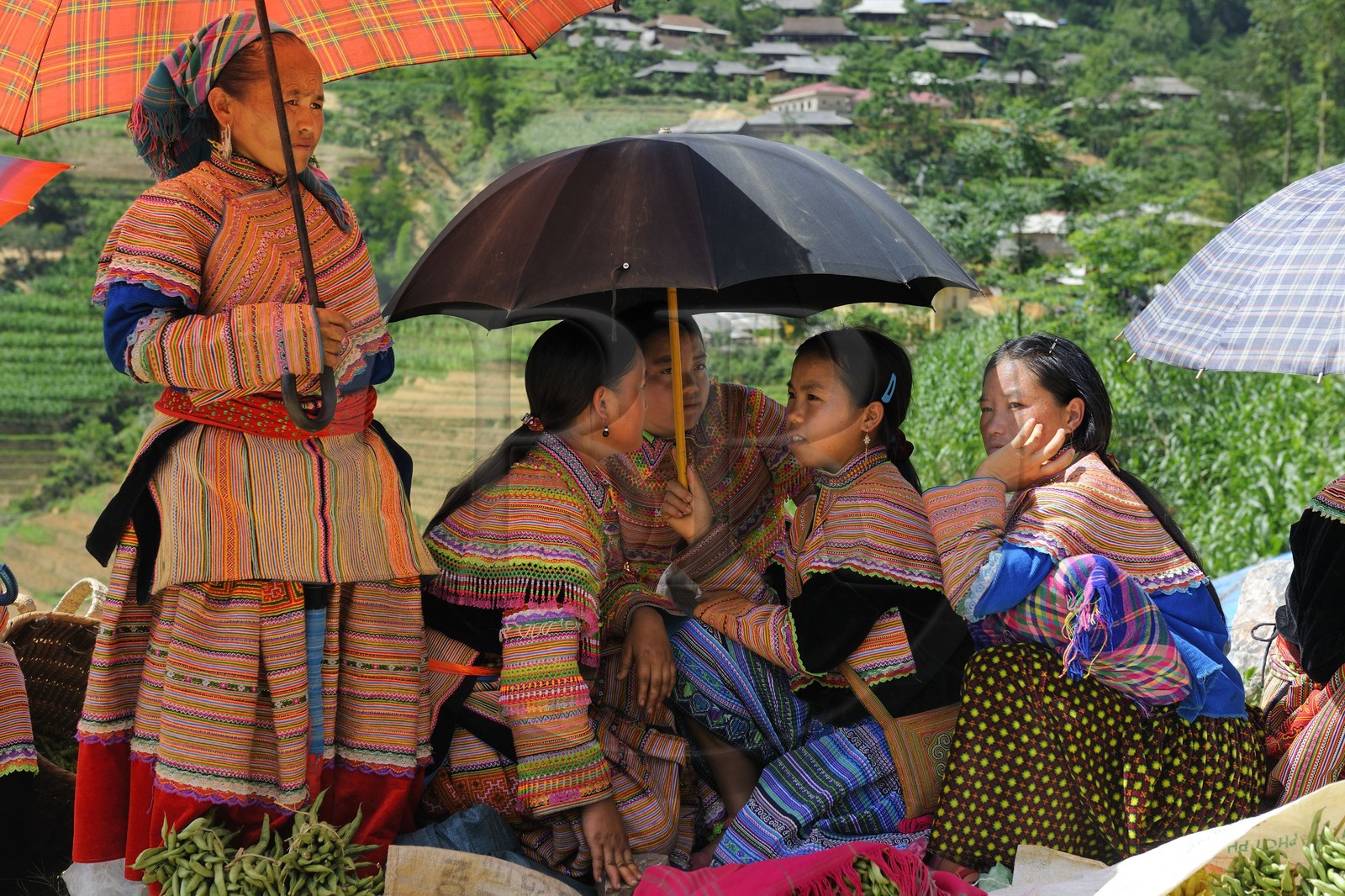 Vietnam, Lao Cai province, Bac Ha district, Can Cau market, women from the Flower Hmong minority