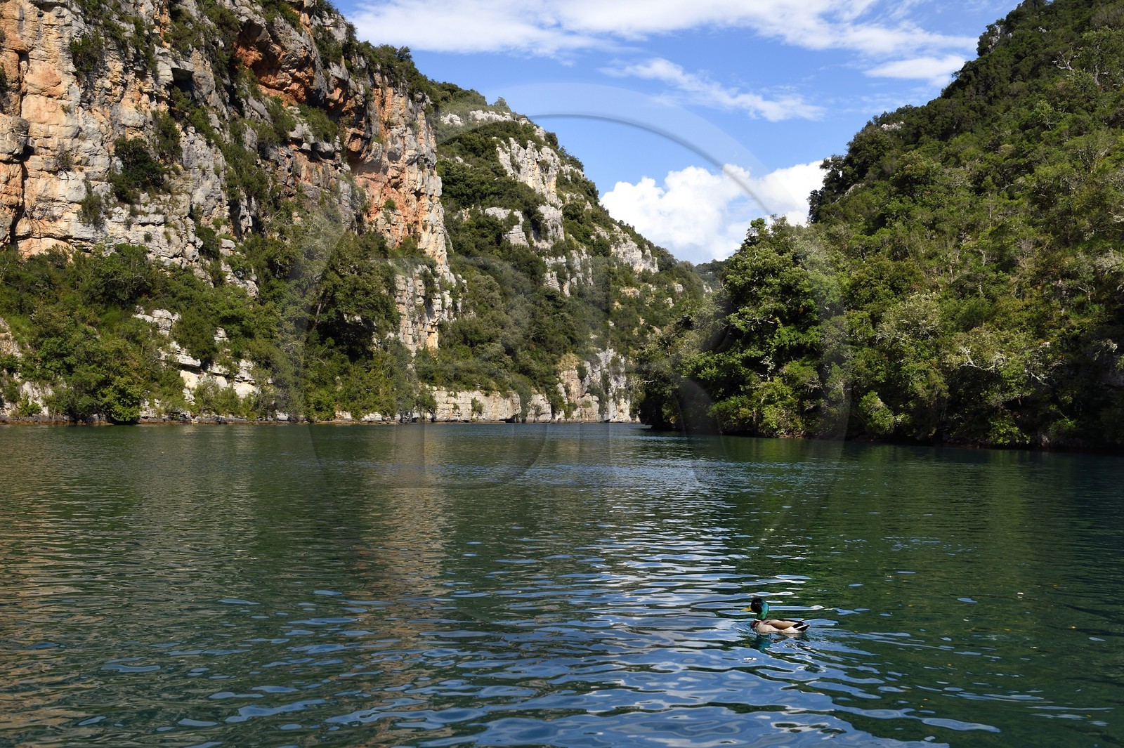 France, Alpes-de-Haute-Provence (04), Parc Naturel Régional du Verdon, Basses Gorges du Verdon en aval du lac de Sainte Croix