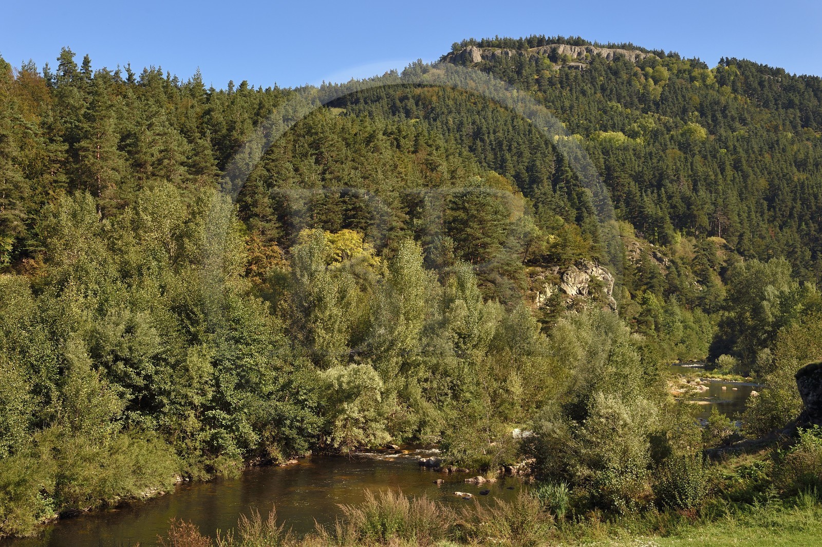 France, Haute-Loire (43), vallée de la Loire, Arlempdes, les berges de la Loire