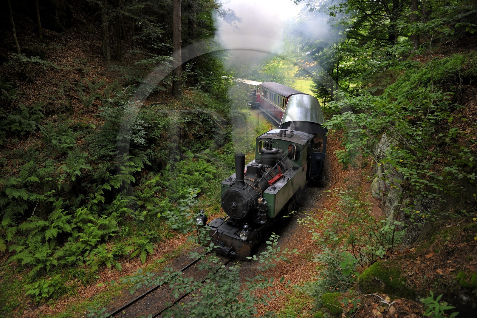 France, Moselle (57), Abreschviller, le petit train anciennement train forestier