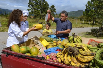 Panama, province de Chiriqui, petite ville de Volcan, restaurant Cerro Brujo Gourmet, la chef Patricia Miranda Allen se fait livrer par un agriculteur bio