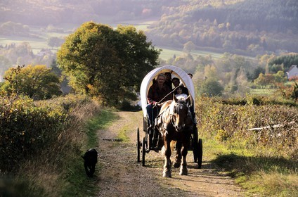 France, Saône-et-Loire (71), Morvan, La Celle-en-Morvan, chariot baché remontant un chemin