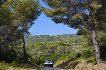 France, Var (83), Iles d'Hyères, Parc national de Port Cros, Ile du Levant, route dans la zone militaire, La Madone où se trouve le poste de commandement des tirs de la DGA Essais de missiles en arrière plan