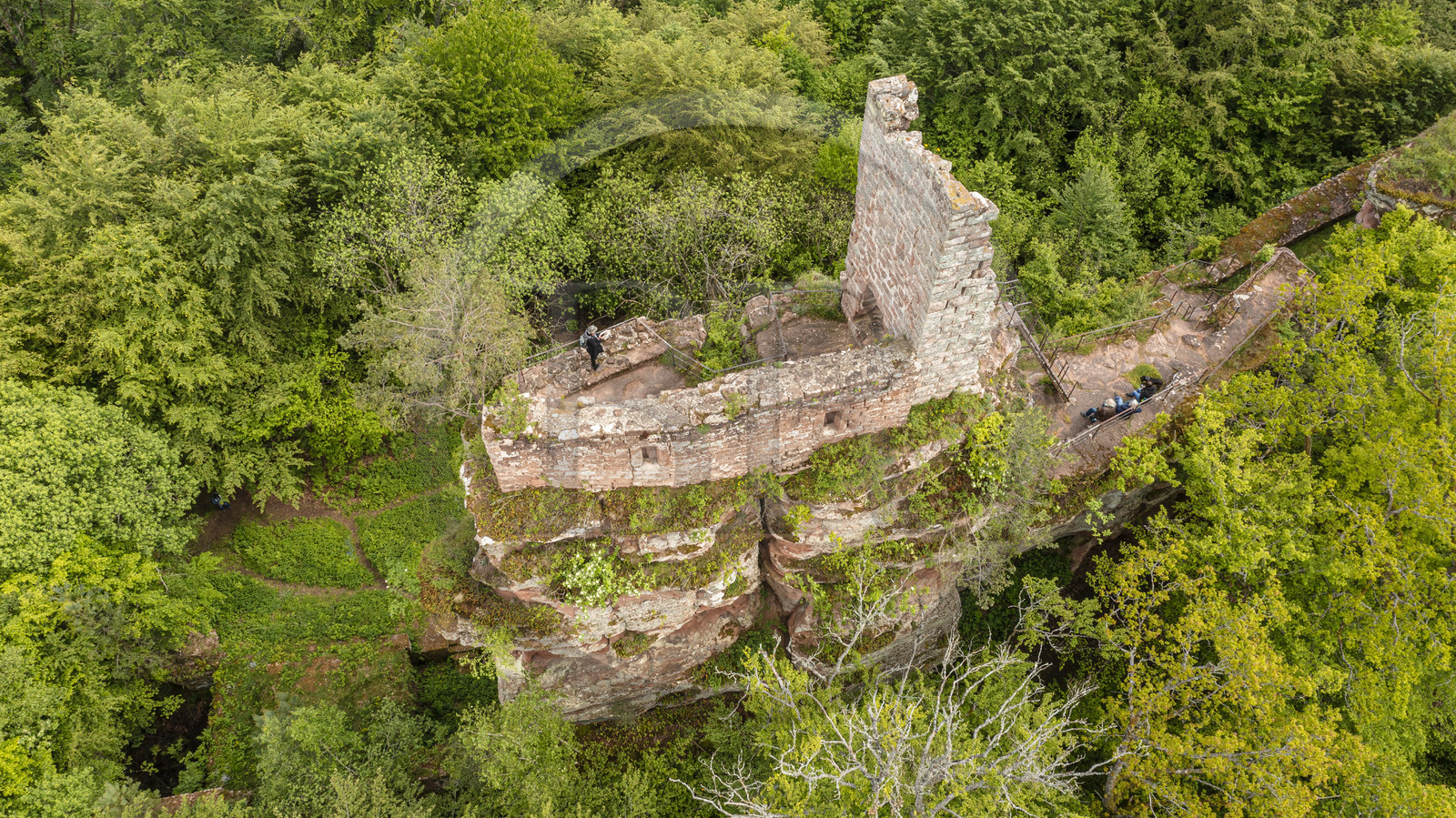 France, Bas-Rhin (67), Parc naturel régional des Vosges du Nord, Obersteinbach, foret domaniale de Steinbach, ruines du chateau de Lutzelhardt (vue aérienne)