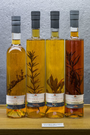 France, Aveyron (12), Nant, la Ferme aromatique des Homs de Marion Renoud-Lias et Romain Debord, agriculteurs nouvelle génération du Larzac, le vinaigre de cidre aux plantes est un des produits de la ferme