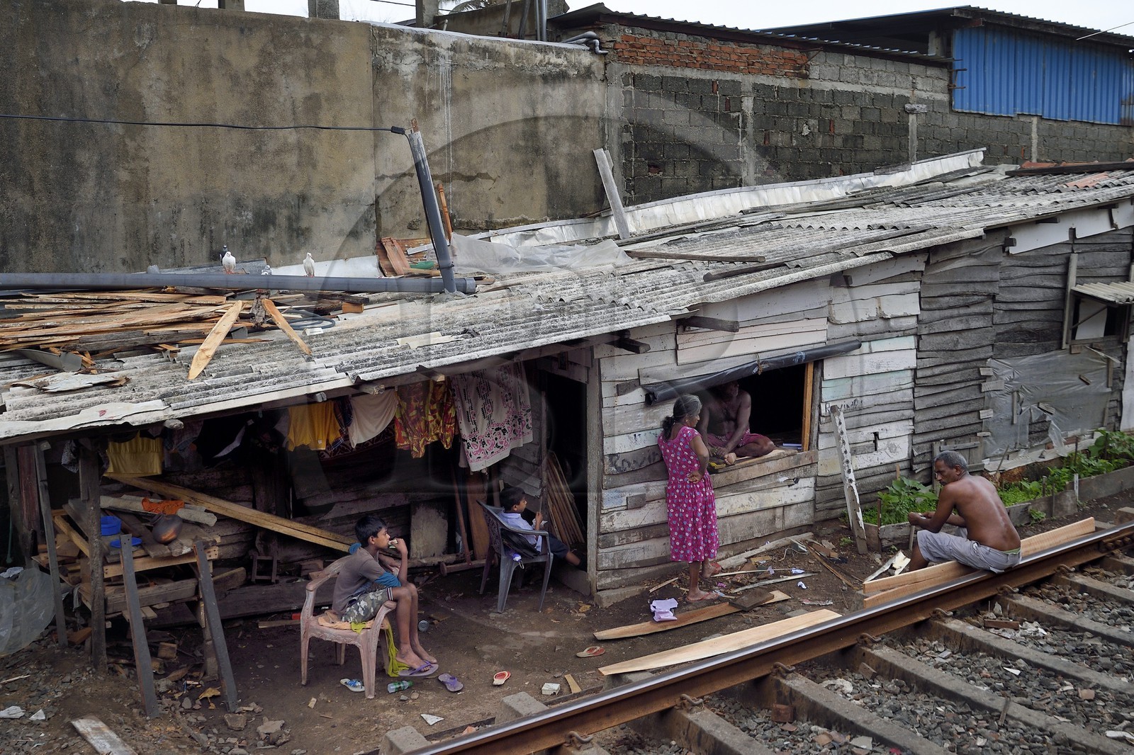 Sri Lanka, banlieue de Colombo vers Moratuwa, taudis construits en bordure de la voie ferrée