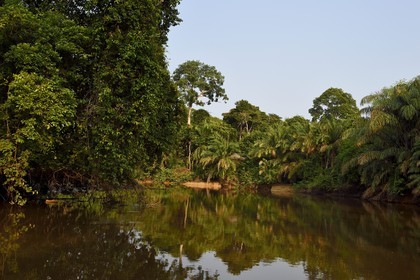 Gabon, province de Ogooué- Maritime, une des nombreuses rivières de la lagune du Fernan Vaz (Nkomi)