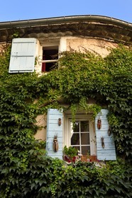 France, Vaucluse, Parc Naturel Regional du Luberon (Natural Regional Park of Luberon), Lourmarin, labelled Les Plus Beaux Villages de France (The Most Beautiful Villages of France), window framed by ivy