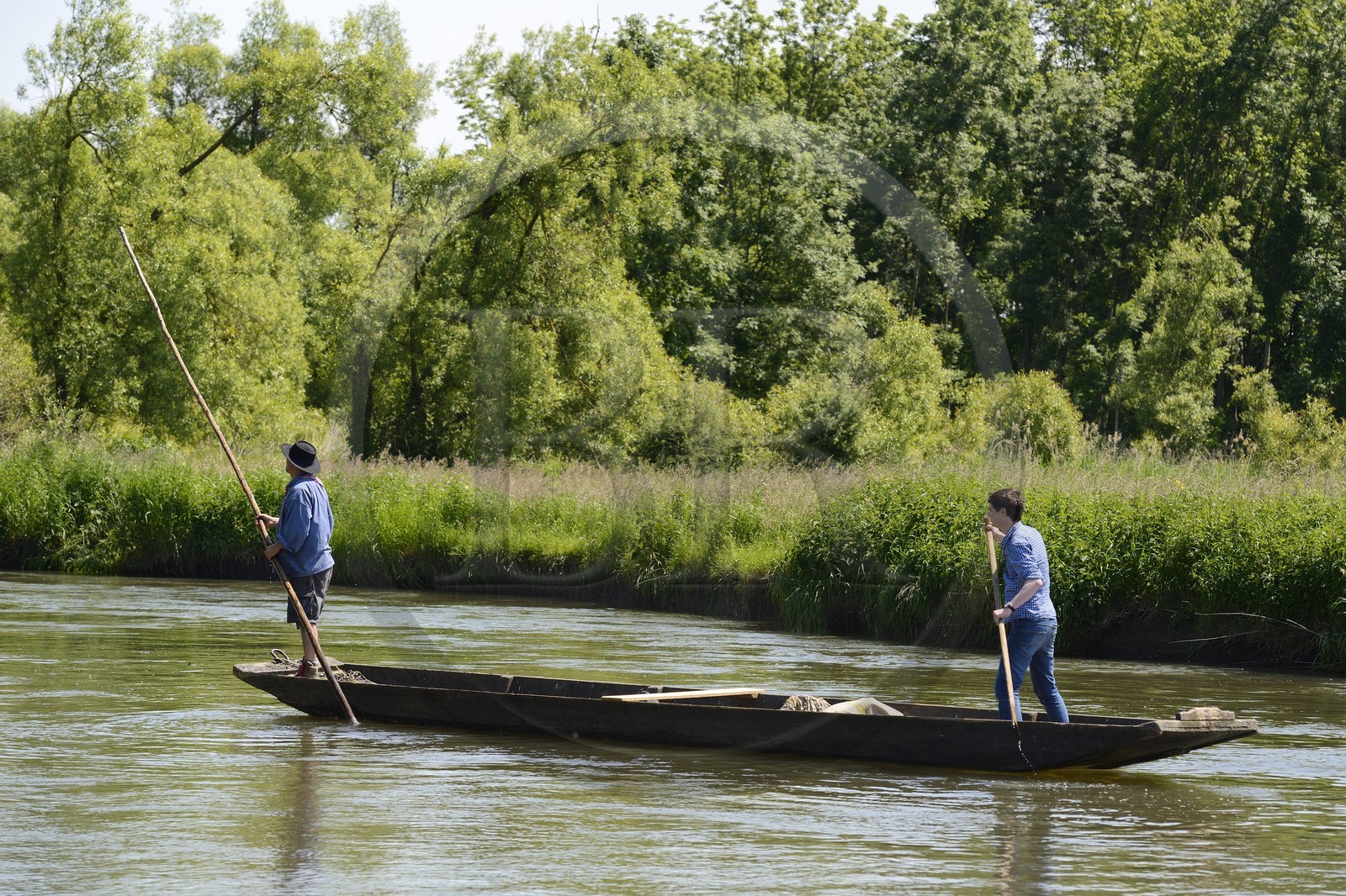 France, Bas Rhin, Ebersmunster and Muttersholtz region, the Ried, the boatman Patrick Unterstock in a small flat wooden bottom boat on the Ill river