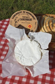 France, Orne (61), Pays d'Auge, village de Camembert, Ferme de la Héronnière, AOC Camembert au lait cru, camembert fermier