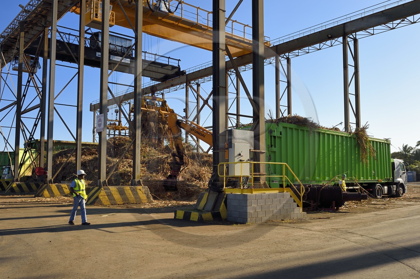 France, Ile de la Reunion, Saint-Pierre, Grands Bois, un des 11 centres de réception et de collecte de la canne à sucre aussi appelés Balance, les tracteurs amènent depuis les champs la canne dans des remorques, elle est ensuite pesée et chargée dans de grands camions appelés cachalots pour être acheminée vers l'usine sucrière du Gol