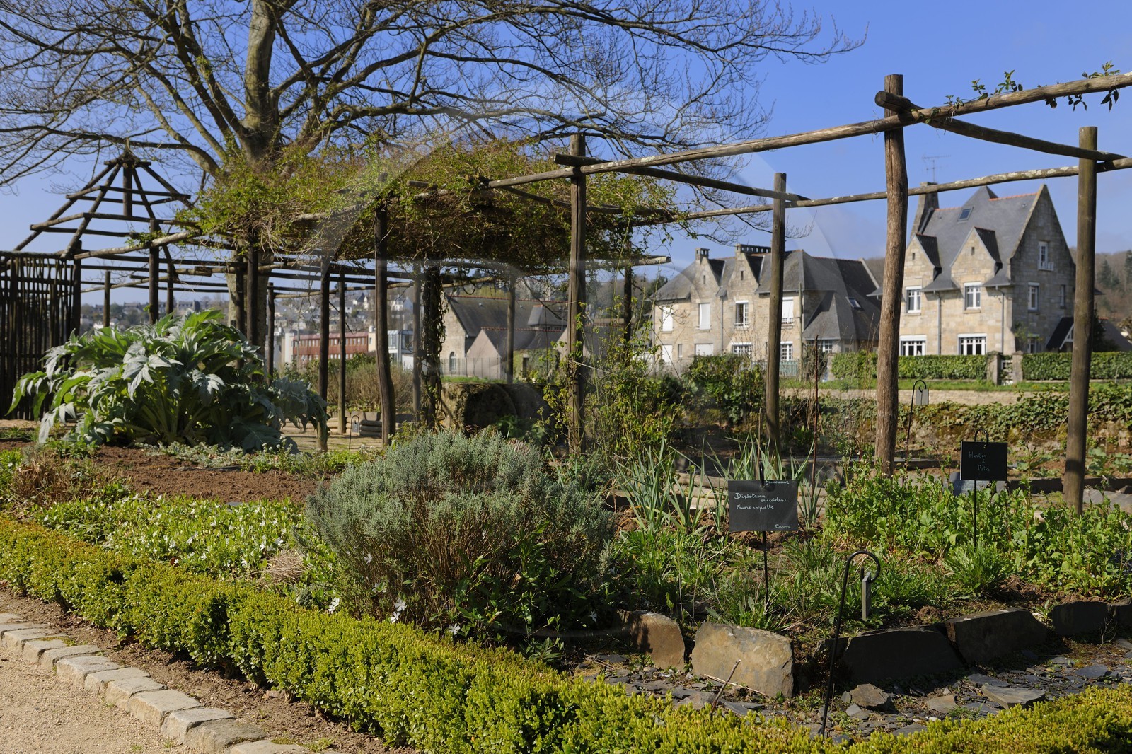 France, Finistère (29), Quimper, quartier de Locmaria, jardin de plantes médicinales et aromatiques