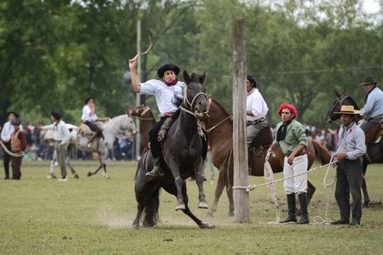 Argentine, province de Buenos Aires, San Antonio de Areco, fête du Jour de la Tradition (Dia de la Tradicion), les gauchos prouvent leur habilité à cheval lors d'un rodéo appelé Jineteada gaucha