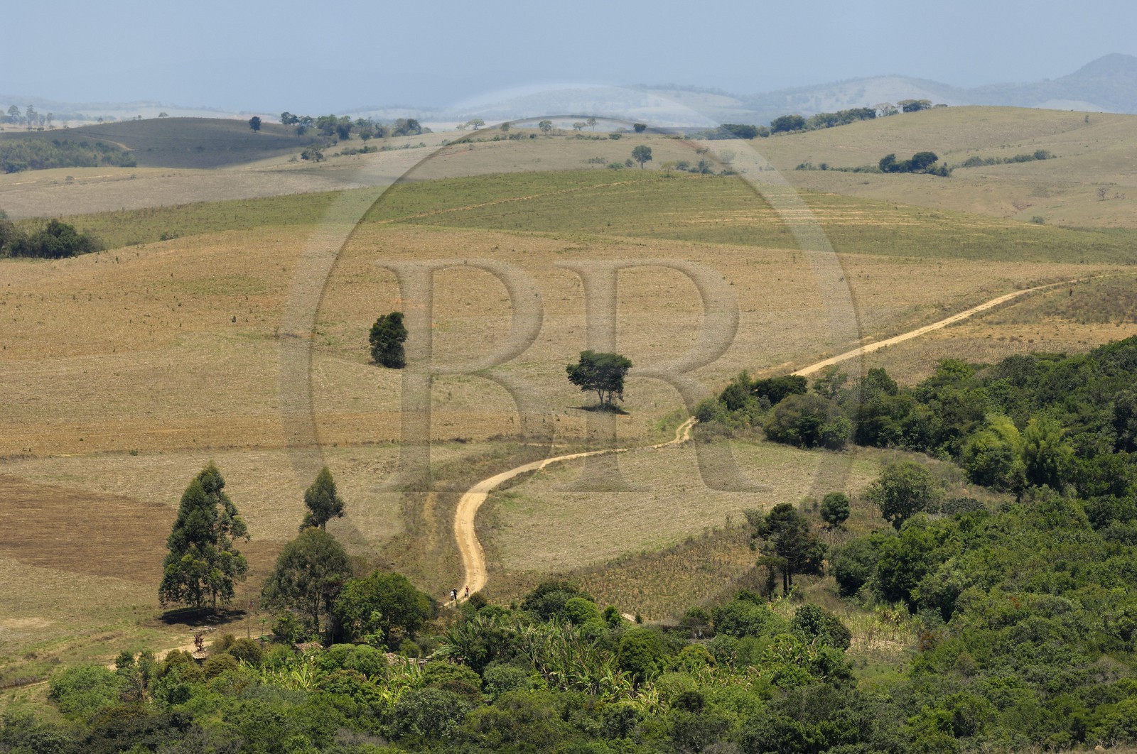 Brésil, Etat du Minas Gerais, région de Carrancas au sud de Sao Joao del Rei, la piste de la Route de l'or (Estrada Real)