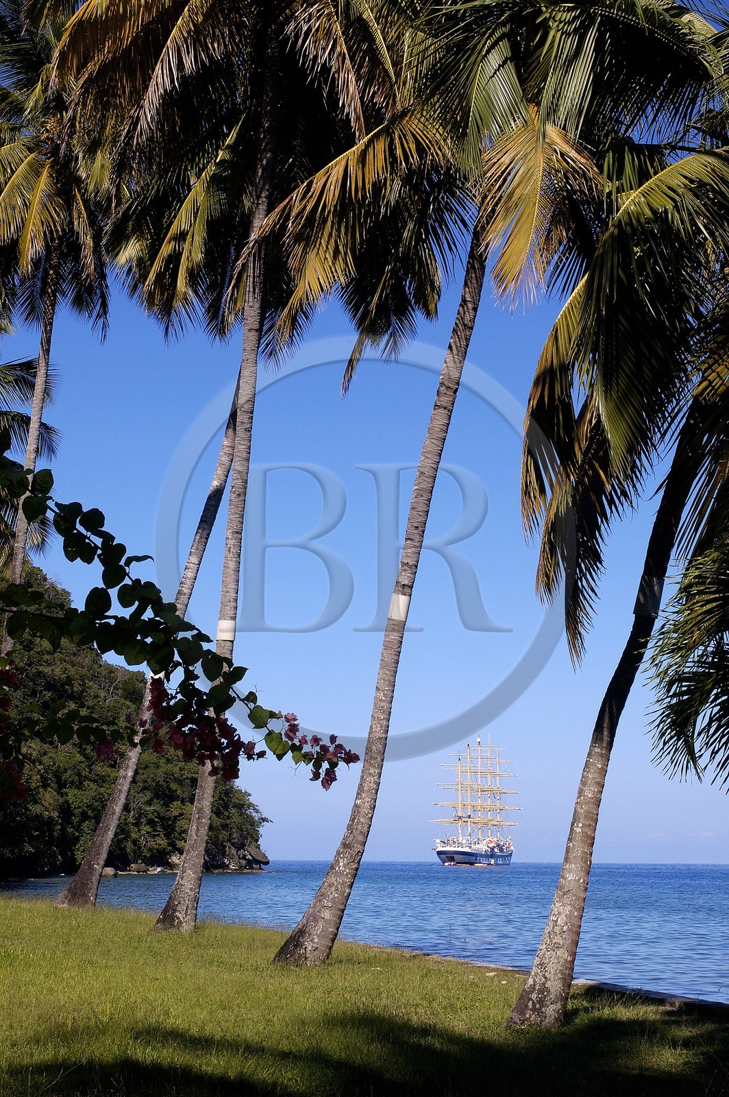 Caraïbes, Sainte Lucie, le bateau Royal Clipper à l'ancre dans Marigot Bay