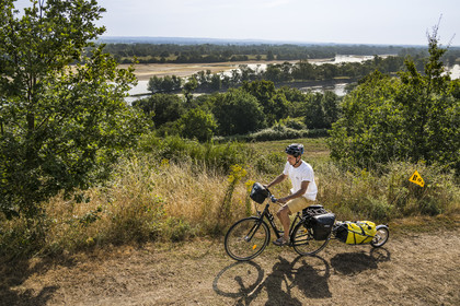 France, Maine-et-Loire, Loire valley listed as World Heritage by UNESCO, Saumur towards Saint-Hilaire, Camping Huttopia Saumur, cycling on the banks of the Loire, bike with a trailer carrying camping equipment