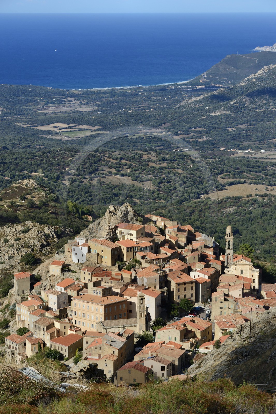 France, Haute-Corse (2B), Balagne, village perché de Speloncato