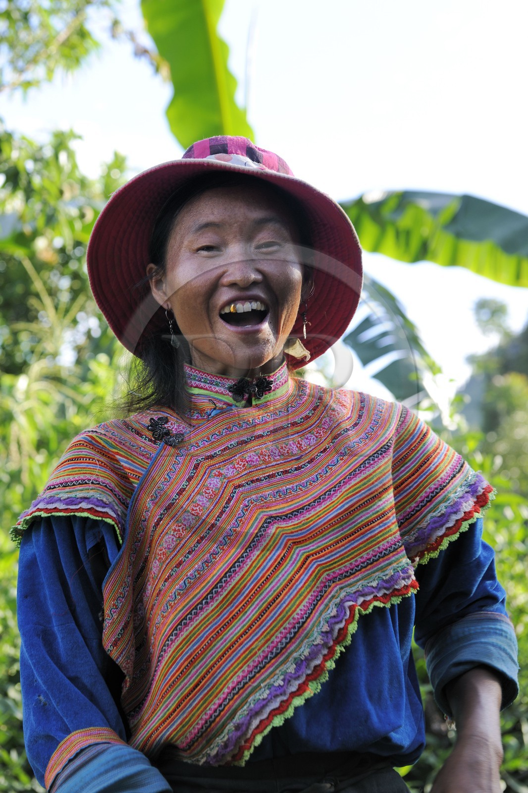 Vietnam, province de Lao Cai, région de Bac Ha, paysanne de la minorité Hmong Fleurs