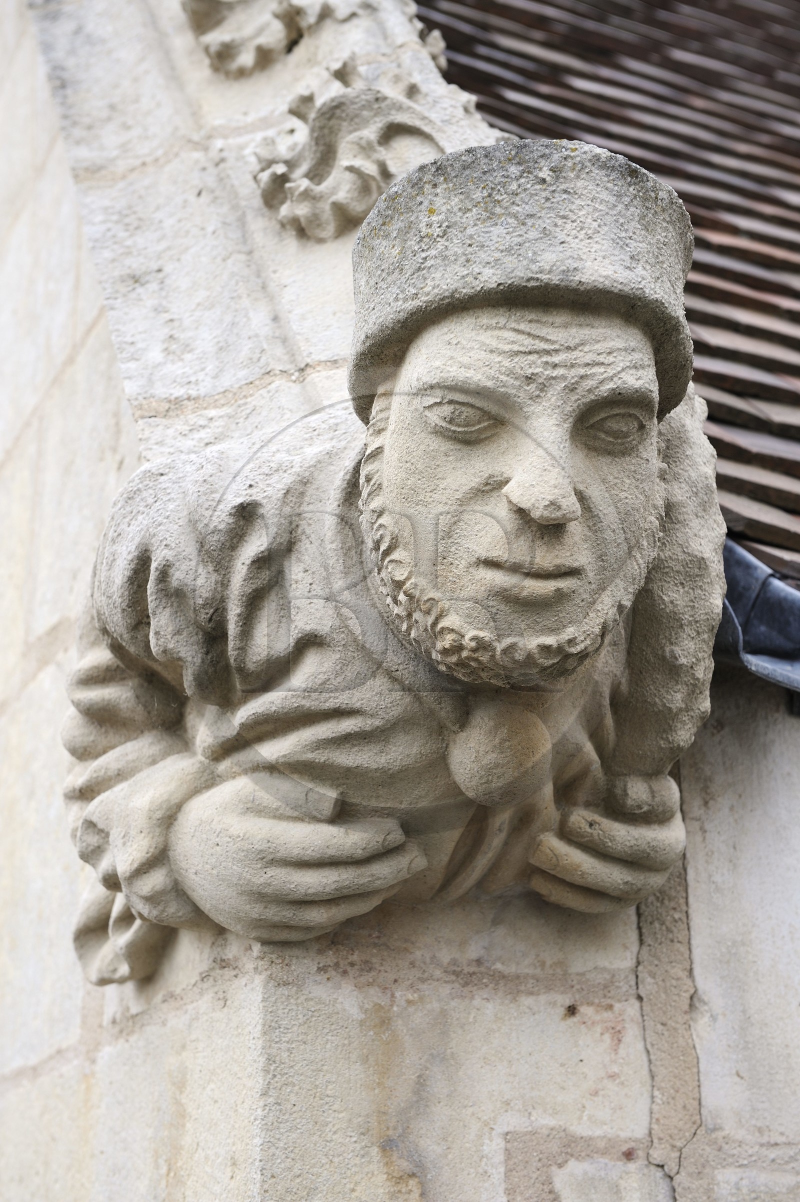 France, Côte d'Or (21), Semur-en-Auxois, l'église Notre-Dame, gargouille
