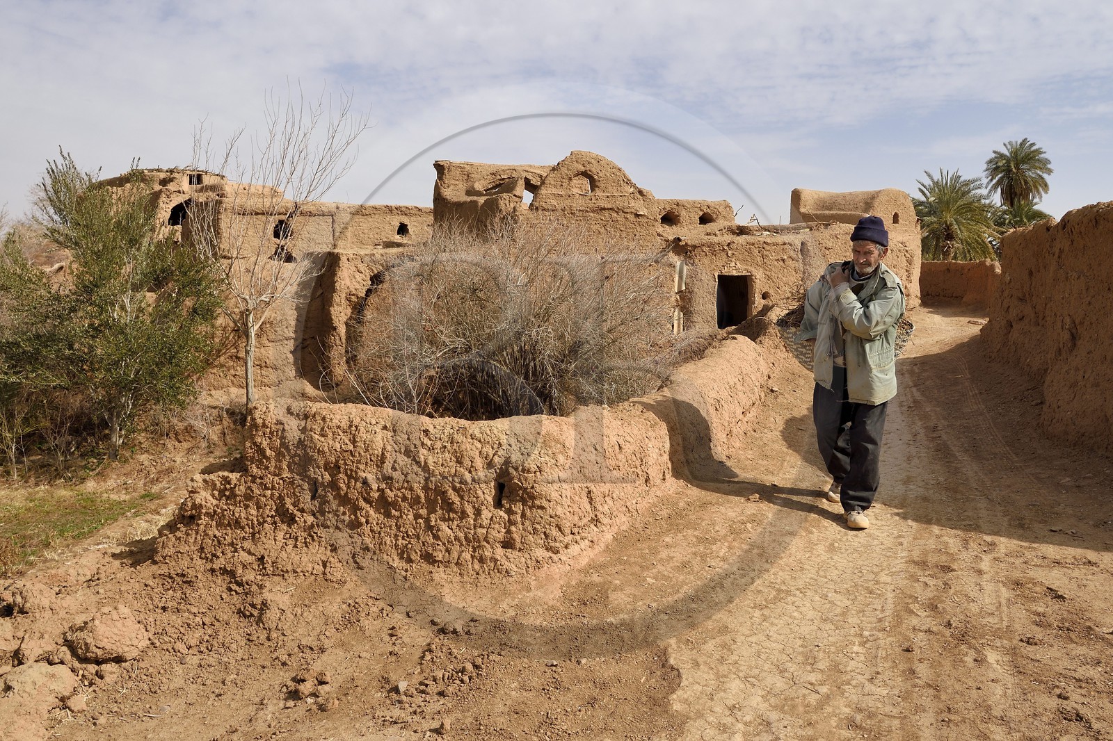 Iran, Province d'Ispahan, désert du Dasht-e Kavir, l'oasis d'Arousan dans la région de Khur et Biabanak, paysan rentrant du champ et maisons en terre crue