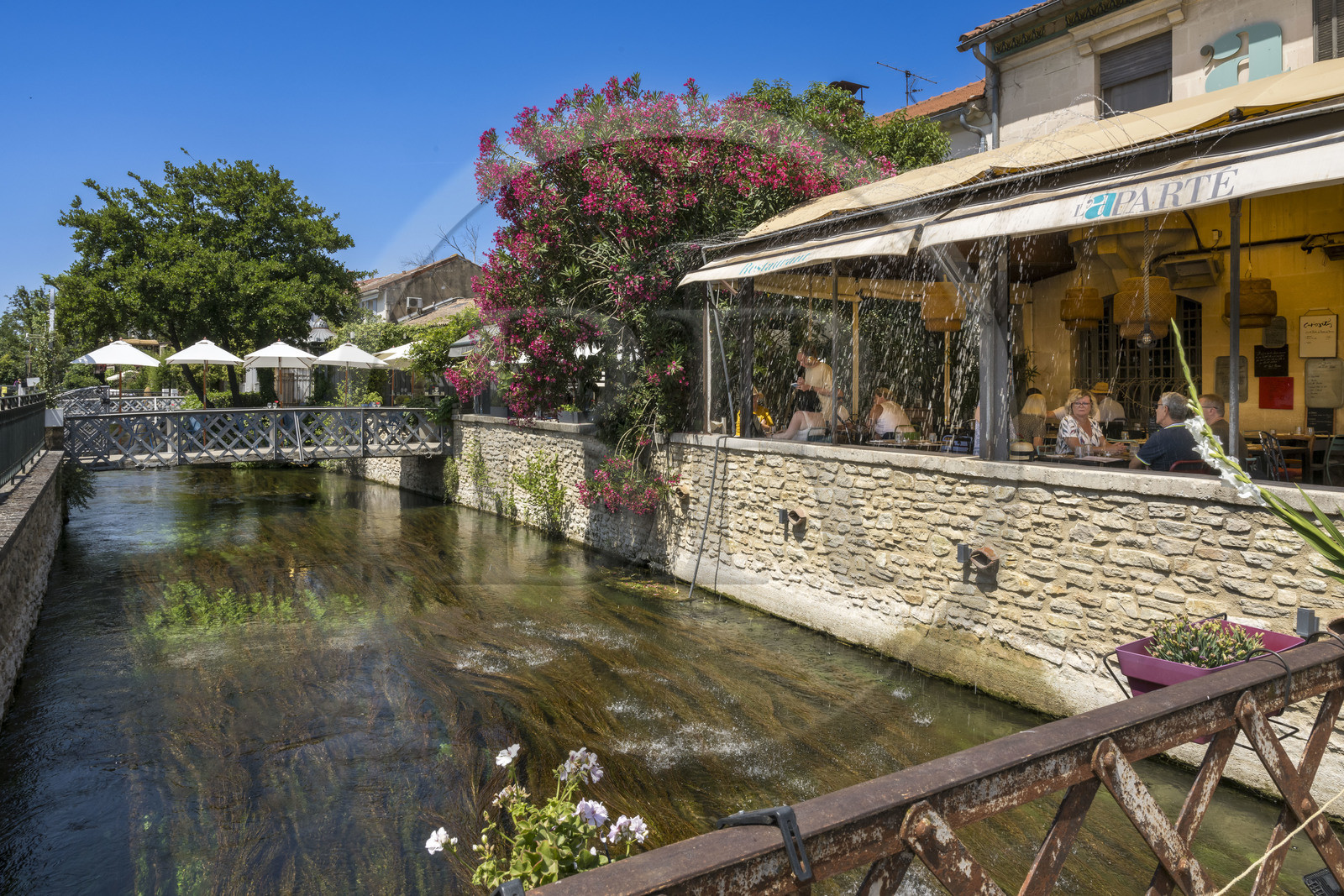 France, Vaucluse, L'Isle sur la Sorgue, the outskirts of one of the many branches of the Sorgue river on avenue des Quatre Otages